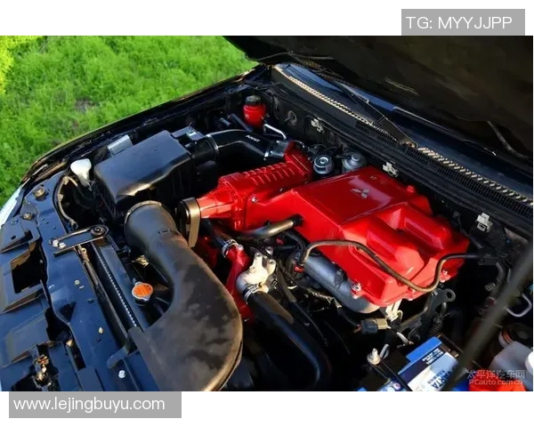 电竞实时数据专访李娜揭秘和平精英成功背后的秘密与策略实时数据